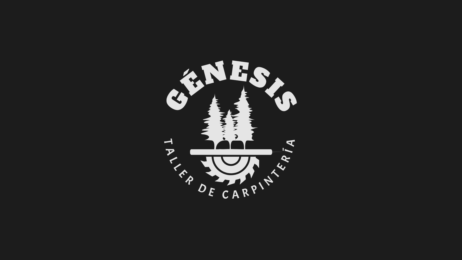 TALLER DE CARPINTERIA GENESIS